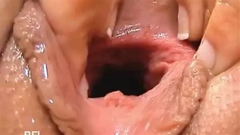 Faust Exzesse Free Porn Video Xhamster