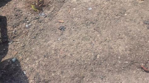 我像一个疯狂的b的儿子一样漏水 Pornhub Gay