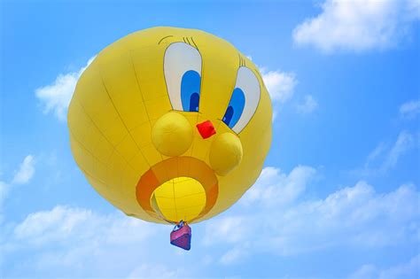 Tweety Bird Hot Air Balloon Photograph By Nikolyn McDonald Fine Art America