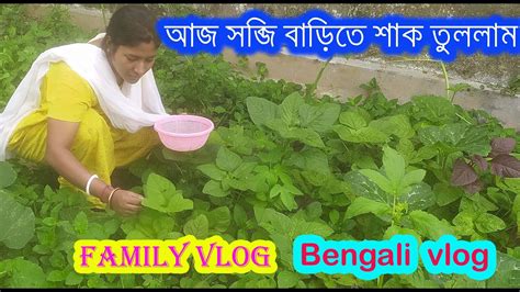 Aj Sokal A Prothom Amader Barir Sobji Bagan A Sag Tultam Bengali Vlog