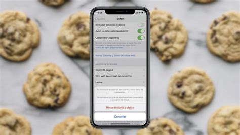 Borrar Cookies En Iphone