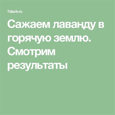 Сажаем лаванду в горячую землю. Смотрим результаты | Plants, Flowers ...