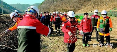 소각 말고 파쇄부산물 처리 위해 지자체와 산림청이 나섰다 네이트 뉴스