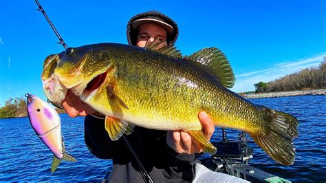 Fishing Big Swimbaits All Day Pays Off - YouTube