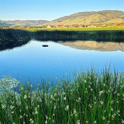 silver oak golf club 7