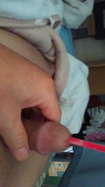 Live Gay Porn XHamster