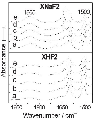 Infrared Spectra Of Xerogel Samples Obtained By Synthesis After