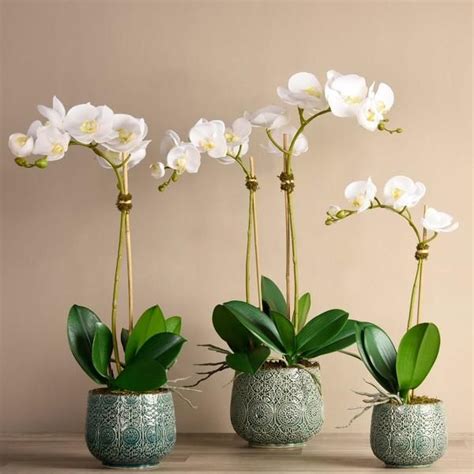 Bloomr Ae Finest Luxury Silk Orchids Artificial Orchids In Dubai