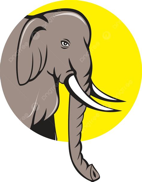 Elephant Head Png