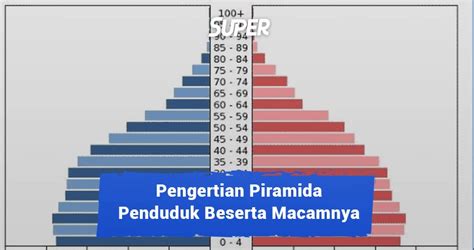 Pengertian Piramida Penduduk Beserta Macam Dan Ciri Cirinya