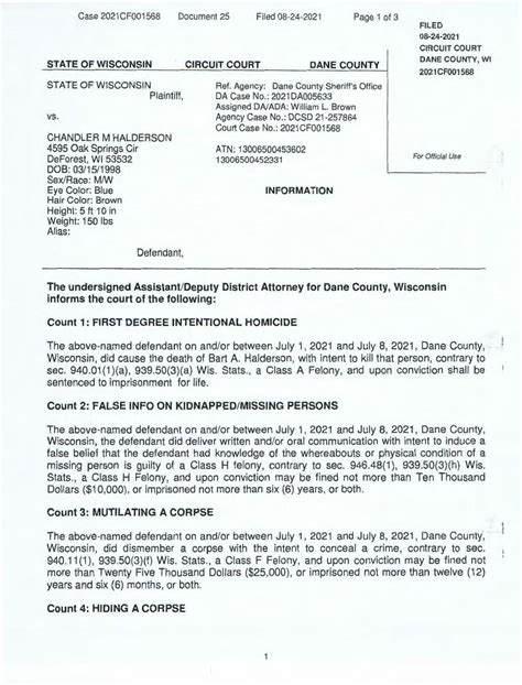 Chandler Halderson charged with killing his mother, told police he