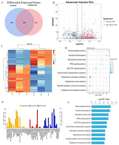 Comparative Proteomic Analysis Of Eca109 Cell With Itraq Quantitative