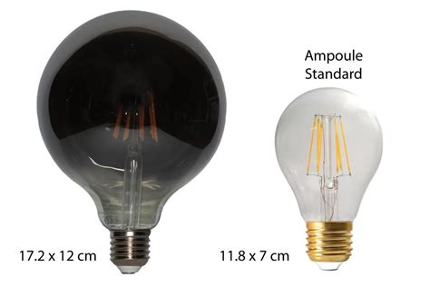 Ampoule Led Fum E Forme Globe Adluminaires