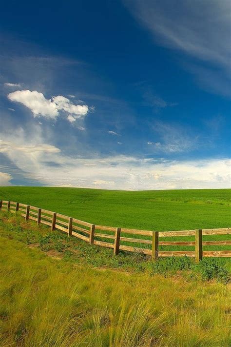 70 Attractive Grassland Natural Scenery Is Your Next Travel Destination Page 11 Of 72