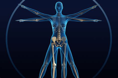 bone loss  primer idea health fitness association