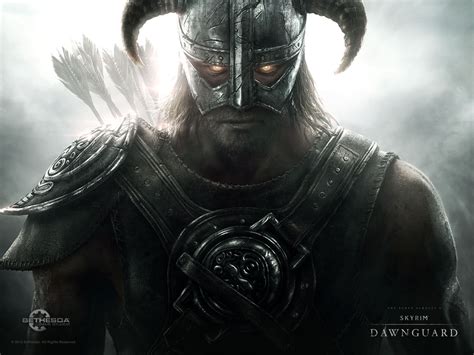 The Elder Scrolls V: Skyrim — Игрозабор