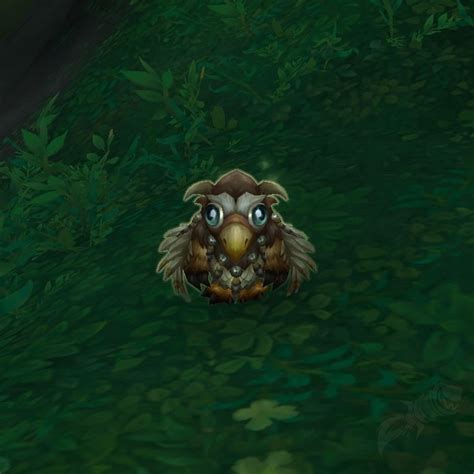 Botes - PNJ - World of Warcraft