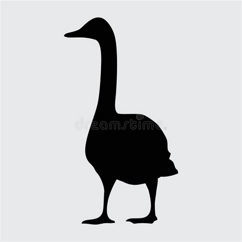 Cisne De Silueta Cisne Aislado En Fondo Blanco Ilustraci N Del Vector