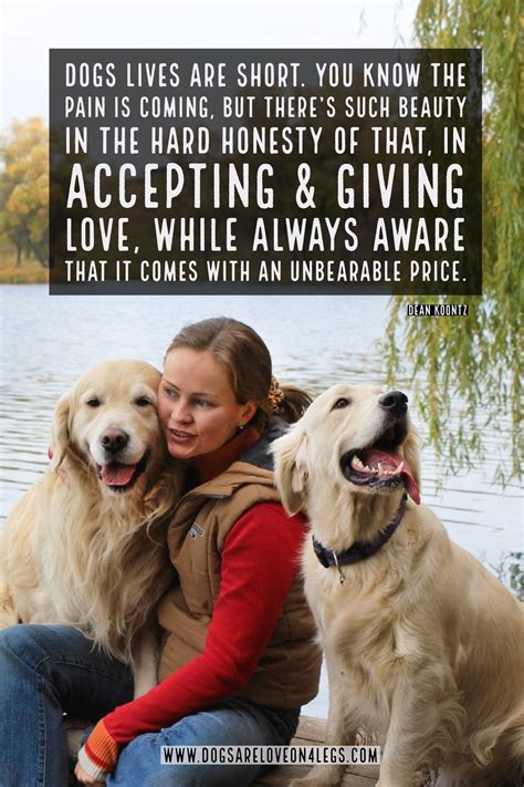 Inspirational Meaningful Quotes About Dogs Shortquotescc