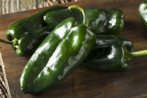 Poblano Vs. Jalapeño Showdown