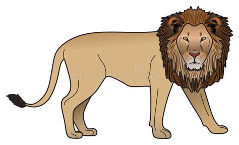 Lion Male Walking Stock Illustrations 313 Lion Male Walking Stock