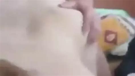 Sarisin Porn Videos XHamster