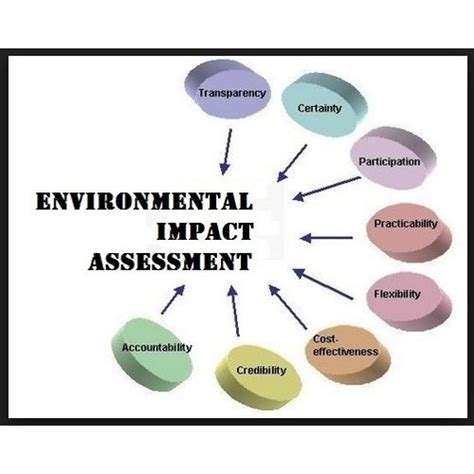 Environmental Impact Assessments Eia