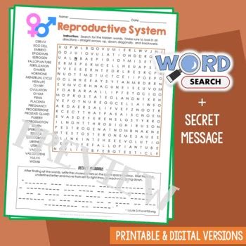 Human Reproductive System Word Search Puzzle Fun Vocabulary Activity