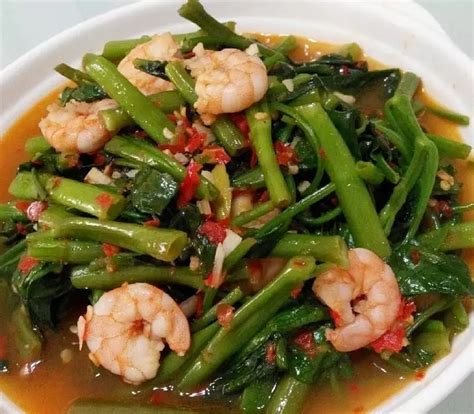 cah kangkung udang kumpulan resep masakan