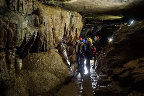 Gallery - Ingleborough Cave