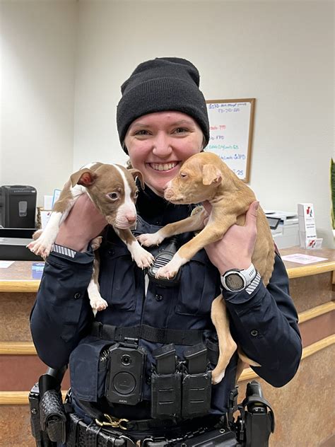 Early this morning,... - Grand Junction Police Department | Facebook