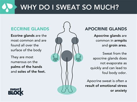 Why Do I Sweat So Much And So Easily → Find The Answer Here