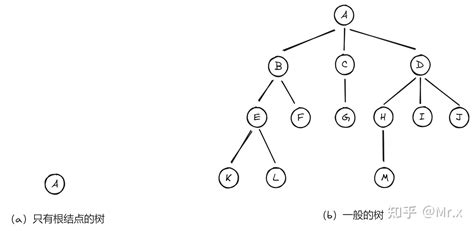 数据结构：树和二叉树1 知乎