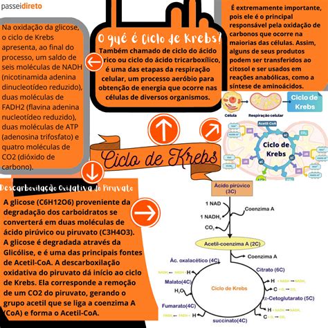 Persuasi N Cumbre Fon Tica Ciclo De Krebs Mapa Mental Hula Hoop