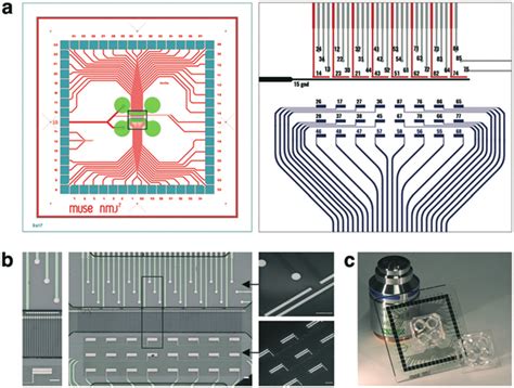 Microelectrode Array Design A Global Mea Layout For Mm Glass