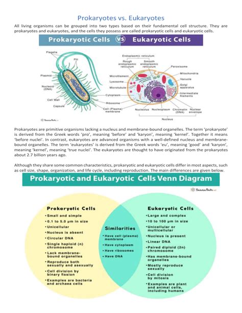 Prokaryotes Vs Eukaryotes: Definations, Structures,, 49% OFF