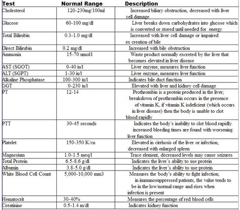 What Causes Elevated Alt And Ast Elevated Alt And Ast In An