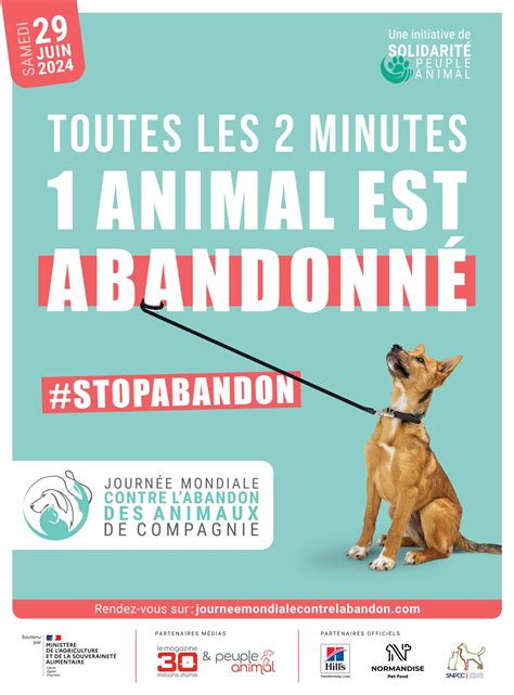 La Lutte Contre Les Abandons D Animaux De Compagnie