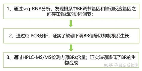 华中农大徐芳森团队揭示缺硼胁迫导致拟南芥根系生长抑制的分子机制 知乎