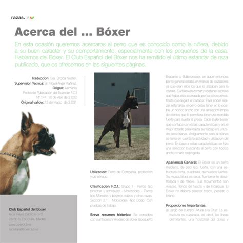 Acerca Del Bóxer