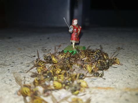 We have a wasp problem. But a brave hero came to safe the day. : r/tabletop