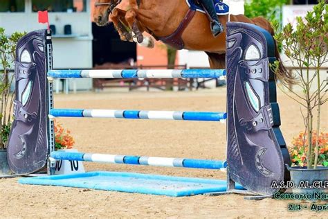 Veredus - AEQZ Horse Equipment