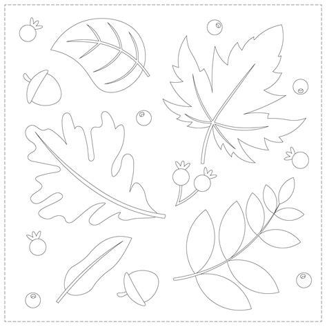 Fall Color Template