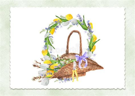 Ready Made Postcard Wicker Basket With Lavender White And Yellow Tulips Pussy Willow Wreath