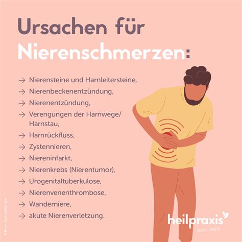 Nierenschmerzen Ursachen Und Therapie Heilpraxis