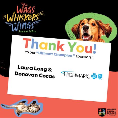 Staff at humane animal rescue of pittsburgh found a rare exotic bird 15