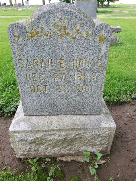 Sarah Elizabeth Thompson: Notable Work and Professional Profile 7