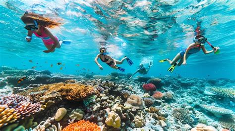 premium photo  people snorkeling  colorful coral reef