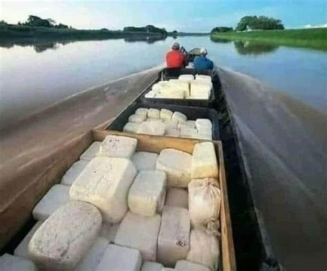 Najlepszy Ser Na Wiecie Pochodzi Z Deszczowych Las W Kolumbii Je Li