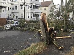 Itemlive Lynn The Real Cost Of Living In Lynn Is Shockingly High